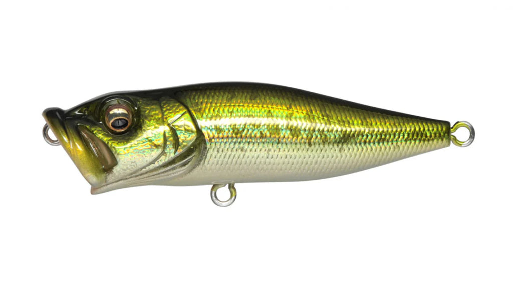 Megabass Pop X Topwater Popper
