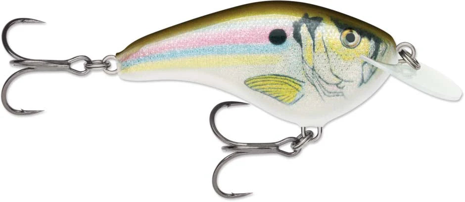 Rapala OG Slim 06 Medium Diving Flat Sided Crankbait