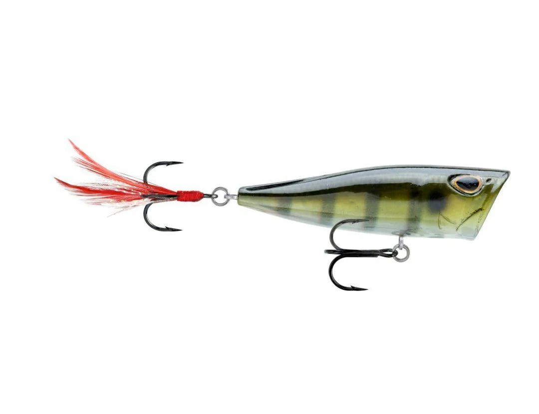 Storm Arashi Cover Pop 3 1 8 inch Topwater Popper
