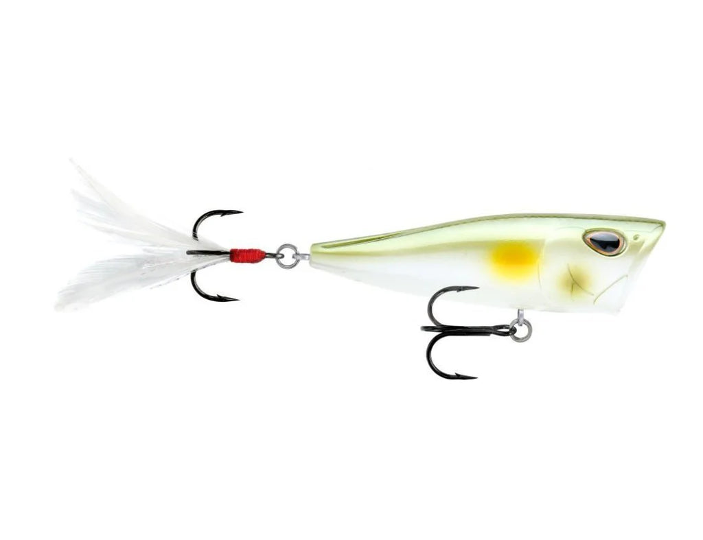 Storm Arashi Cover Pop 3 1 8 inch Topwater Popper