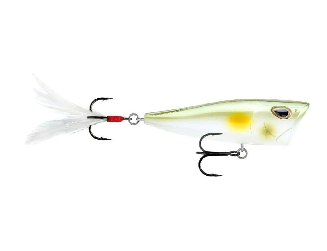 Storm Arashi Cover Pop 3 1 8 inch Topwater Popper