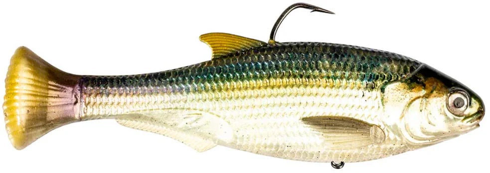 Z Man Shadtron Line Through Slow Sinking Swimbait 6 Inch