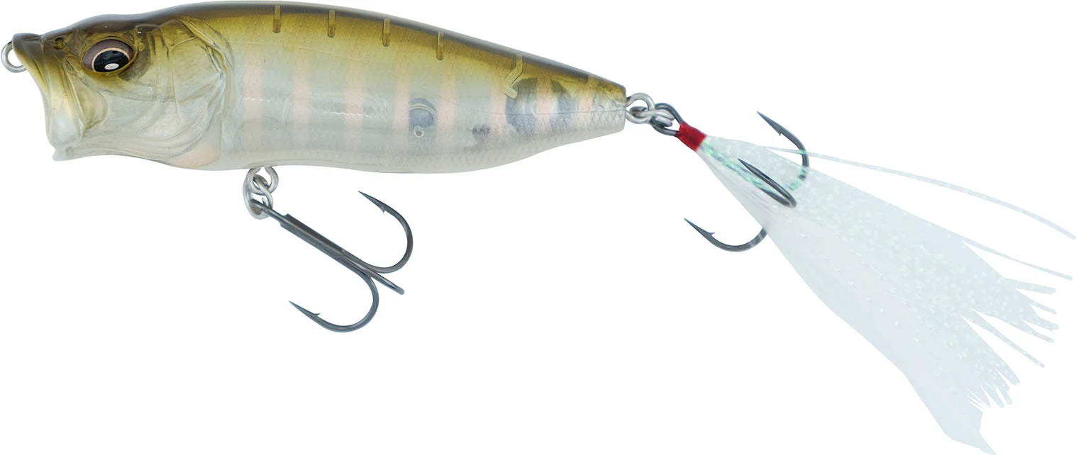 Megabass PopMax Topwater Popper