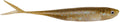 Engine Like Five Soft Plastic Minnow 5 Inch