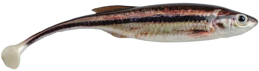 Berkley PowerBait Drip Swimmer 3 Inch