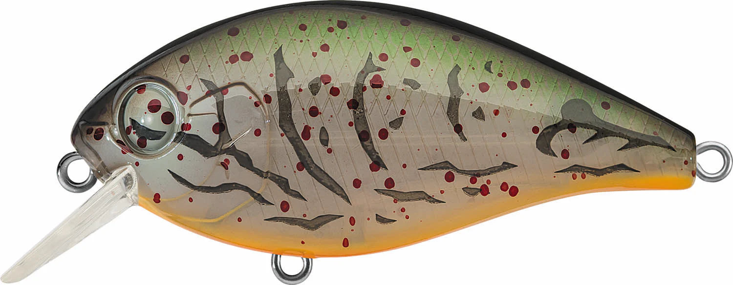 Evergreen International SH 3 Shallow Squarebill Crankbait