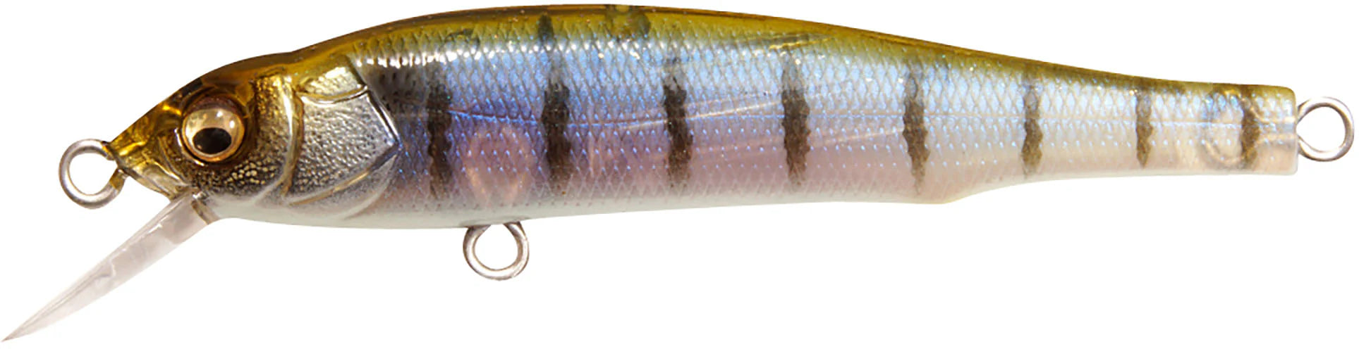 Megabass X 70 BFS
