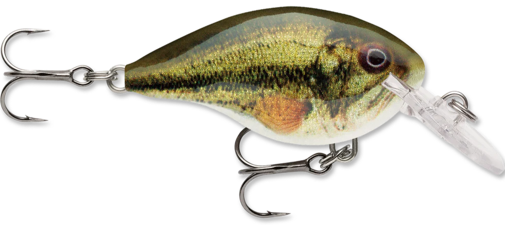 Rapala DT Series Crankbait DT4