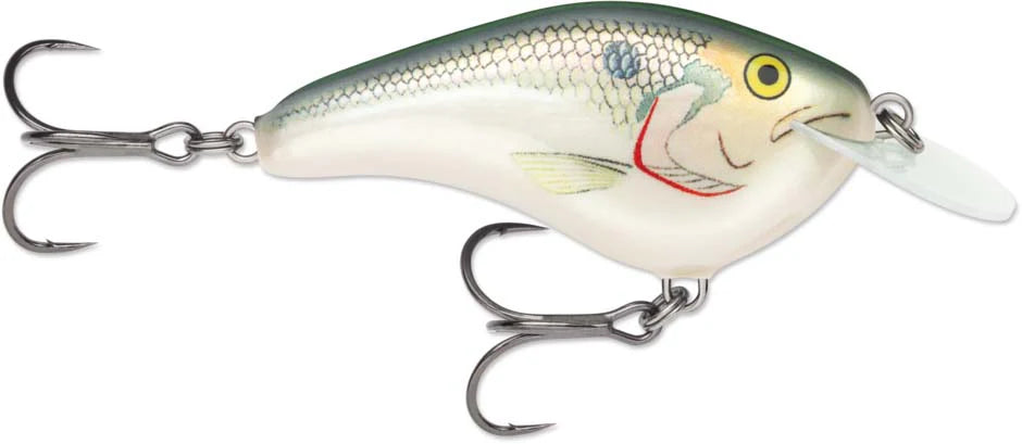 Rapala OG Slim 06 Medium Diving Flat Sided Crankbait