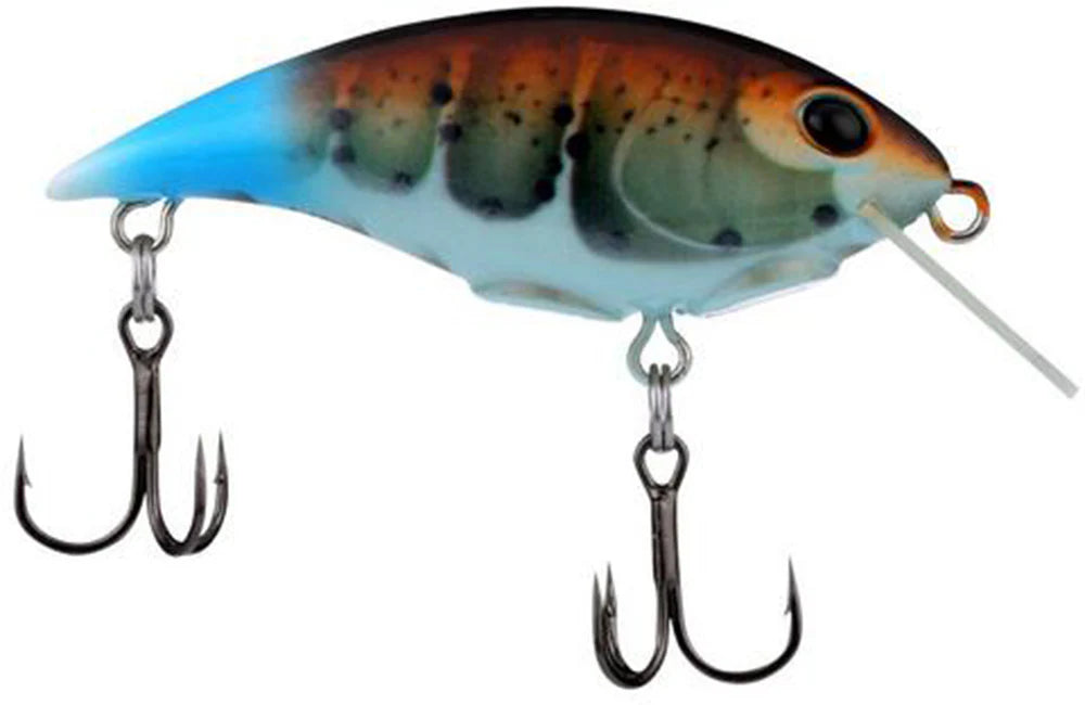 Berkley Shallow Money Badger Crankbait 275 Inch