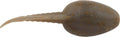 Berkley Gulp Alive Tadpole 125 Inch
