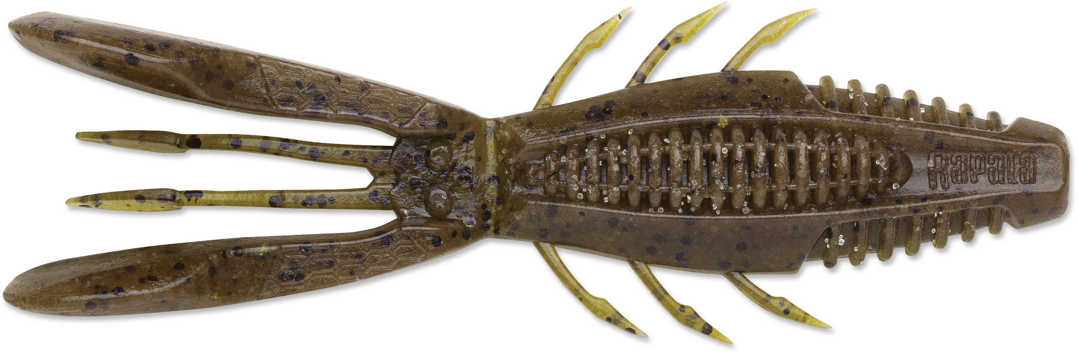 Rapala Crush City Bronco Bug 6 Pack