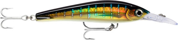 Rapala XRMXT 160 X Rap Magnum Extreme Big Game Trolling Lure 8 Inch
