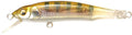 Megabass X 70 BFS