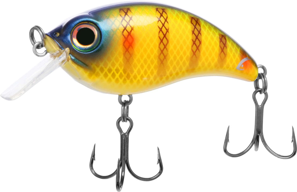 Bill Lewis ATV 25 Squarebill Crankbait 275 Inch