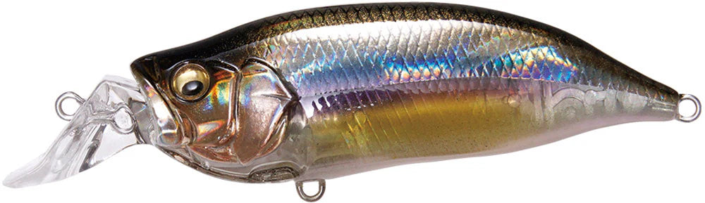 Megabass IXI Shad Type R Shallow Diving Crankbait 24 Inch