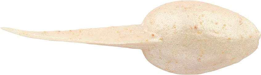 Berkley Gulp Alive Tadpole 125 Inch