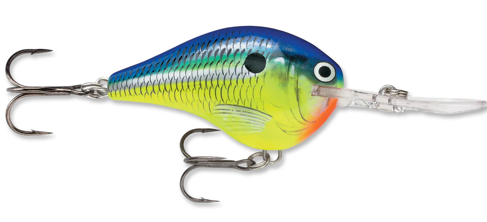 Rapala DT Series Crankbait DT10