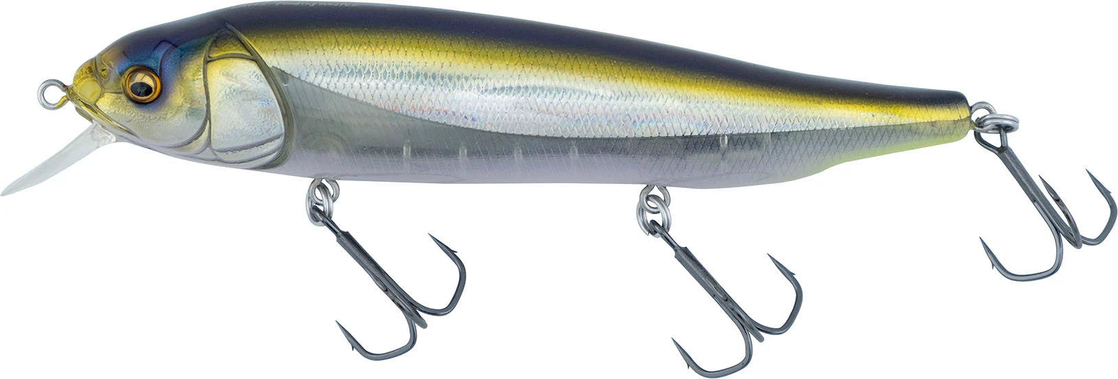 Megabass Respect Series HT Ito Tennessee Shad June 2024 Release
