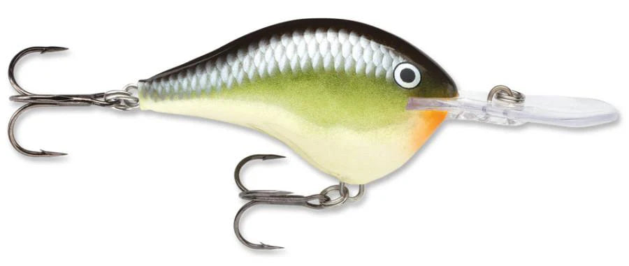 Rapala DT Series Crankbait DT14