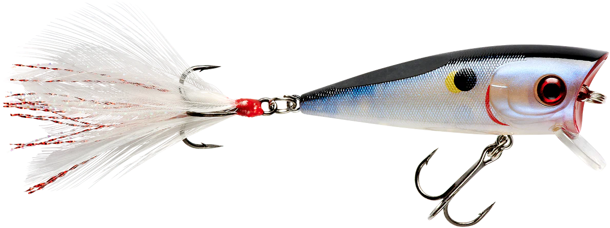 Booyah Prank 2 1 2 inch Topwater Popper