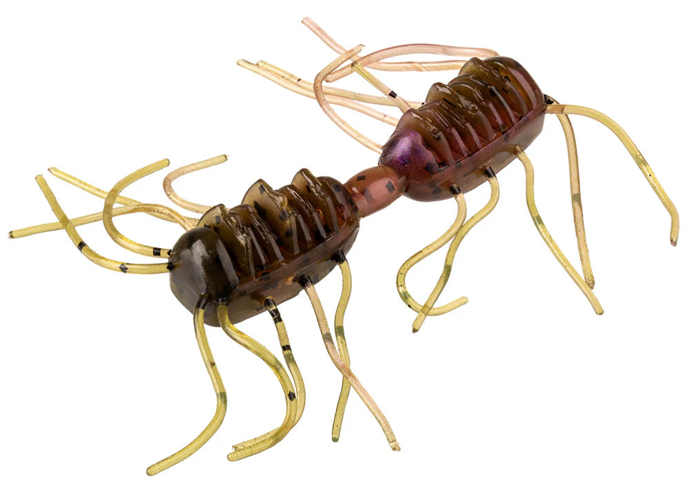 Strike King Sexy Bug Creature Bait 3 Inch