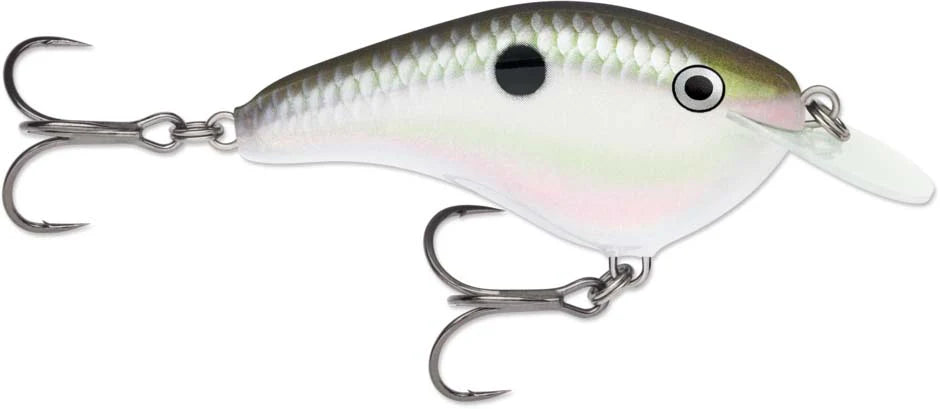 Rapala OG Slim 06 Medium Diving Flat Sided Crankbait