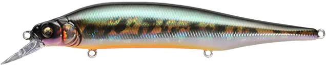 Megabass Ito Shiner 4 1 2 inch Suspending Jerkbait