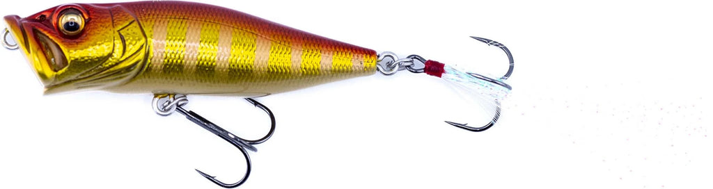 Megabass Pop X Topwater Popper