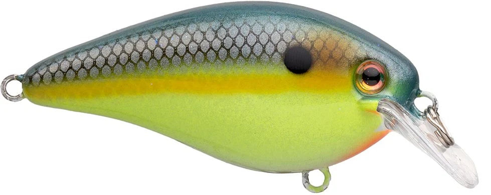 Strike King KVD Elite 40 Squarebill Crankbait 4 Inch