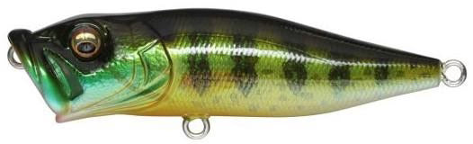 Megabass Pop X Topwater Popper