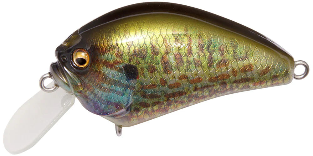 Megabass IXI Blowly Shallow Crankbait 2 Inch