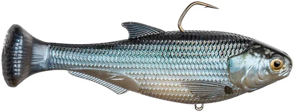 Z Man Shadtron Line Through Slow Sinking Swimbait 6 Inch