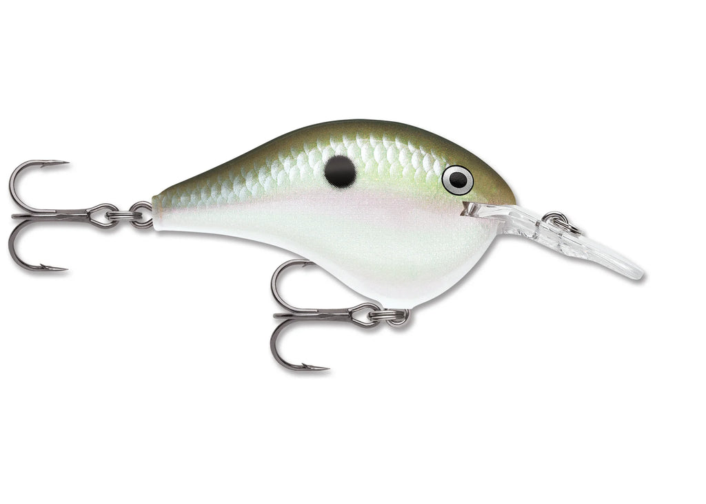 Rapala DT Series Crankbait DT6
