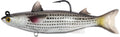 LiveTarget Mullet Bait Rigged