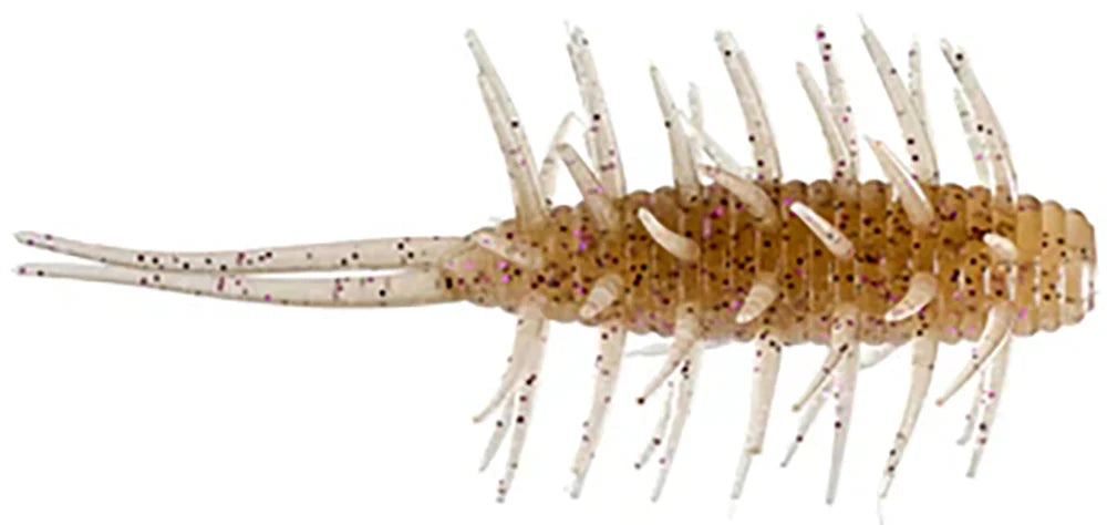 HIDEUP Coike Medium Shrimp 3 Inch
