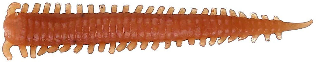 Berkley Gulp 2 inch Scented Saltwater Plastic Sandworm 24 pack
