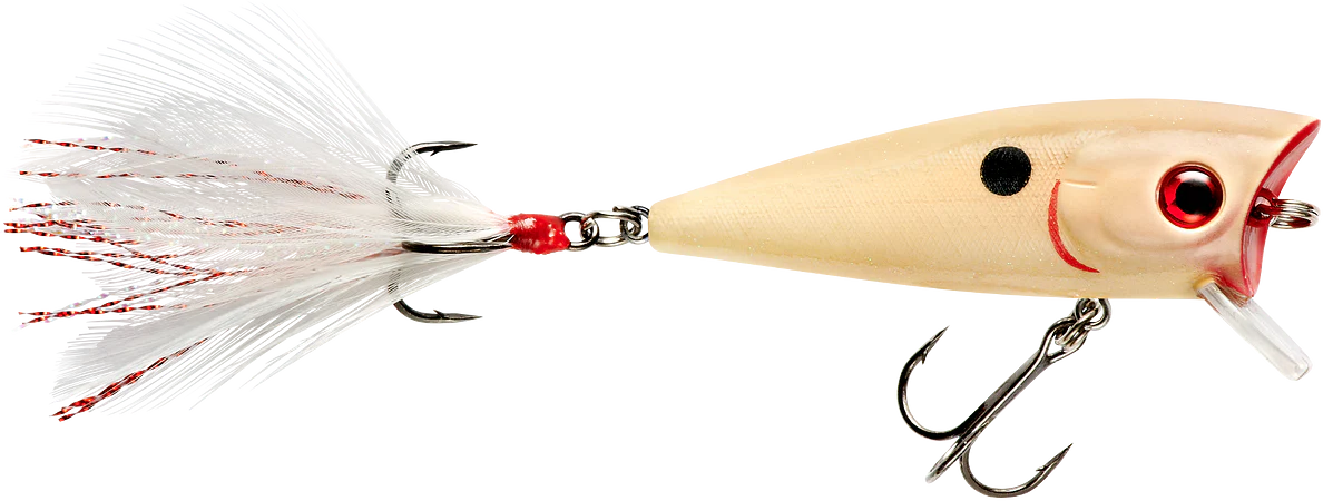 Booyah Prank 2 1 2 inch Topwater Popper