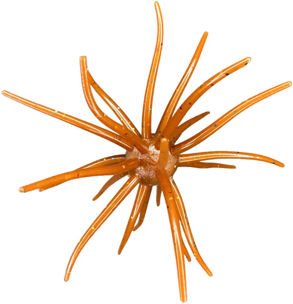 Hags Baits Prickly Pear 19mm