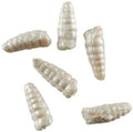 Berkley Gulp Alive 1 2 inch Waxies 2 oz Jar