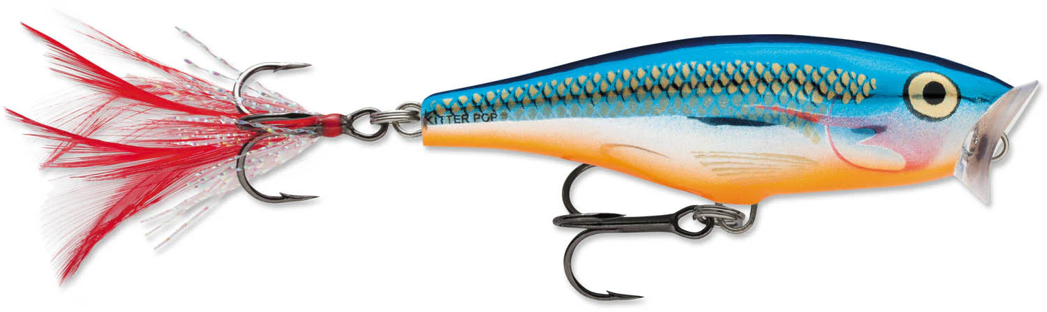 Rapala Skitter Pop 07 2 3 4 inch Topwater Popper