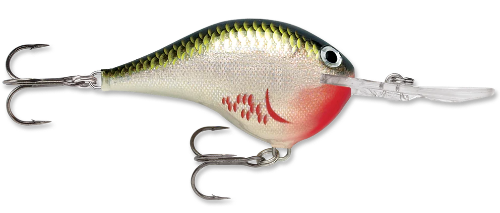 Rapala DT Series Crankbait DT10