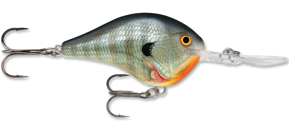 Rapala DT Series Crankbait DT10