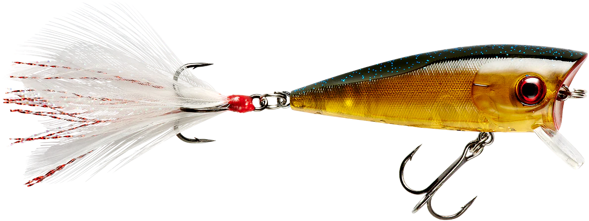 Booyah Prank 2 1 2 inch Topwater Popper
