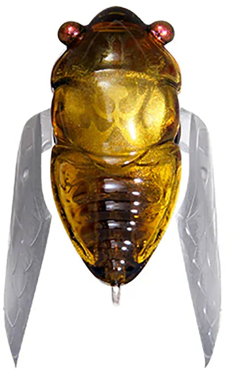Megabass Great Hunting Haruzemi Topwater Cicada 1 Inch
