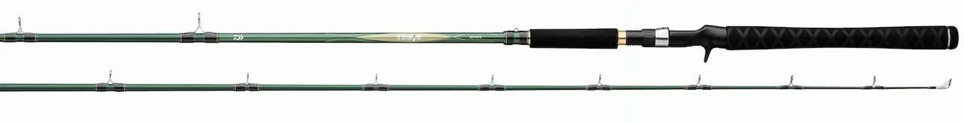 Daiwa TD Eye Series Trolling Casting Rods