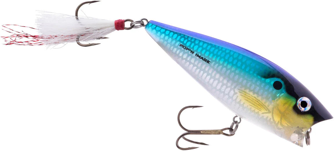 Heddon Popn Image 3 inch Topwater Popper