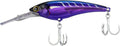 Shimano Ledge Runner 160F 63 Inch