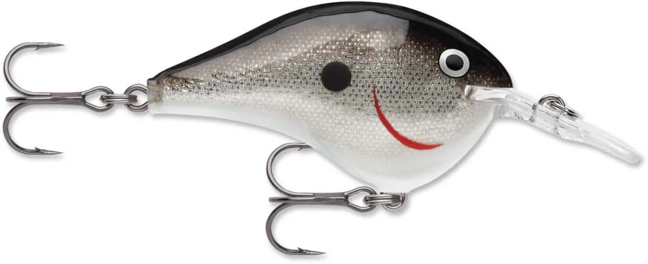 Rapala DT Series Crankbait DT6