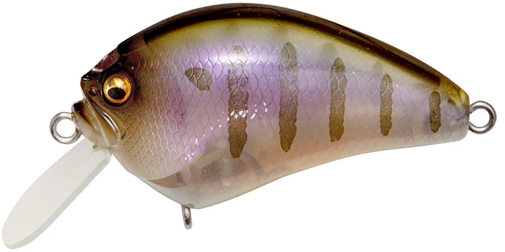 Megabass IXI Blowly Shallow Crankbait 2 Inch